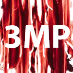 Triple M Podcast